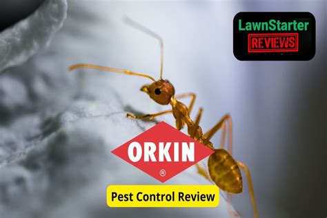 orkin red deer|Alberta Pest Control 